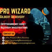 LOST BTC OR USDT USING PRO WIZARD GIlBERT RECOVERY
