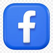 Facebook Data Max logo