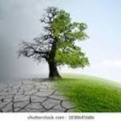 Climate change Live News