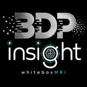 BDP-insight-L2 logo