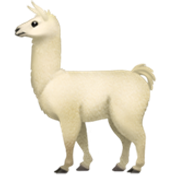 LoginLlama