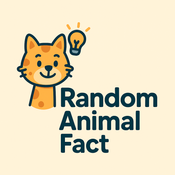 Random Fact