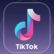 TikTok Profile API logo
