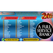 Top 20 Verified Paywithus Accounts for Instant Use (2026) logo