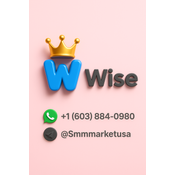 Buy Verified Wise Accounts logo