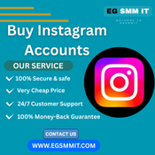 Why Top Businesses Opt for Instagram Accounts from egsmmit logo