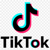 TikTok Scraper API logo