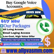 How to set up a new phone number in Google Voice.... logo