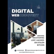 PROFESSIONAL HACKING SERVICE / CONSULT  DIGITAL WEB RECOVERY logo