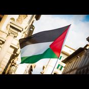 Independent News LIVE