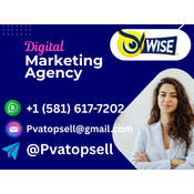 Buy Verified Wise Accounts | New York City  Pvatopsell logo