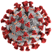 Covid Italy statistics