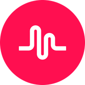 ByteDanceSolutions logo