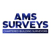 AMS SURVEYS logo