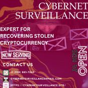 Best Recovery Experts: Cybernet Surveillance