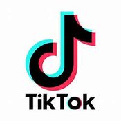 Tiktok Video Downloader logo
