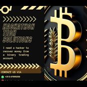 BITCOIN / CRYPTOCURRENCY RECOVERY SERVICE  logo