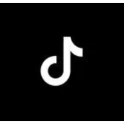 Tiktok Downloader logo