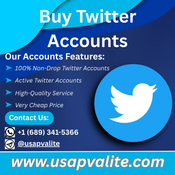 Best 6.9 Place To Purchase Twitter Accounts logo