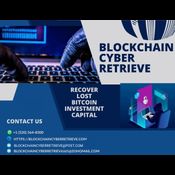 TOP CRYPTO HACKING SERVICE HIRE BLOCKCHAIN CYBER RETRIEVE  logo