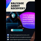RETRIEVE YOUR LOST CRYPTO- HIRE SALVAGE ASSET RECOVERY logo