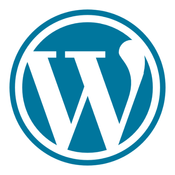 WordPress API