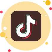 TikTok API New