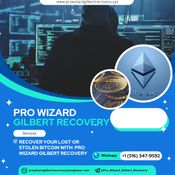 GET YOUR SCAM BITCOIN WITH PRO WIZARD GILBERT RECOVERY logo