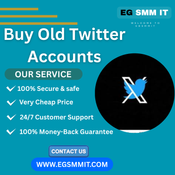 How to quickly Buy Old Twitter Accounts  logo
