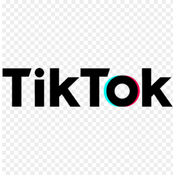 TikTok scraper API logo