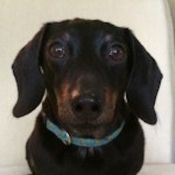 FreePlanwithHardLimit