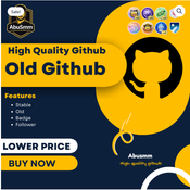 🔹 A Beginner's Guide to Buying Old GitHub Accounts Safely logo