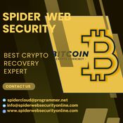 BITCOIN & COMPANY / CONSULT SPIDER WEB SECURITY logo