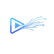 Video Signal logo