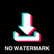 Tiktok no watermark video downloader