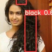 Hair Colour Detection