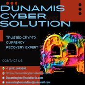 DUNAMIS CYBER SOLUTION - TRUSTED EXPERTS TO HELP YOU  logo