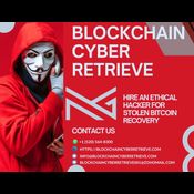 BLOCKCHAIN CYBER RETRIEVE logo