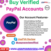 Trustable Guide to Buying Verified PayPal Accounts for 2K26 logo