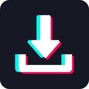Tiktok media download logo