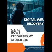 DIGITAL WEB RECOVERY BEST AGENCY TO RECOVER  CRYPTO logo