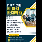 YOUR SCAMMED USDT & BITCOIN WITH PRO WIZARD GILBERT RECOVERY logo