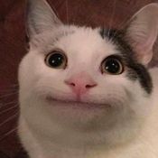 Aut voluptatum in es