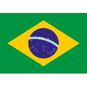 Brazil Data Validator logo
