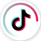 Tiktok DATA logo