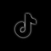 TikTok DownLoader videos