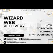 BITCOIN FRAUD RECOVERY EXPERT / CONTACT WIZARD WEB RECOVERY logo