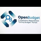 Openbudget api logo