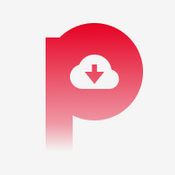 Pinterest Downloader - Download image video and pinterest ideapin