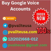 Buy Google Voice Accounts logo